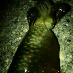 とりあえず1杯^^;