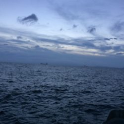 1年ぶりのエギング