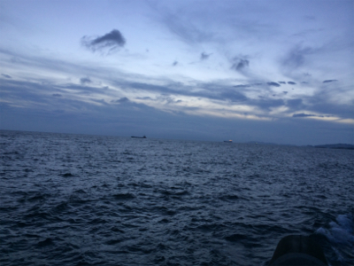 1年ぶりのエギング