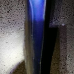 わらしべタチウオ