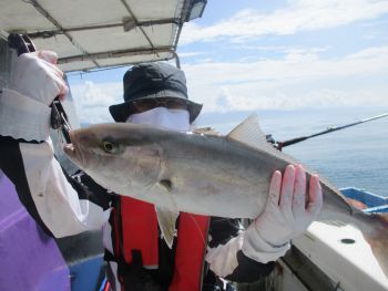 ネイリ・ハマチ釣り