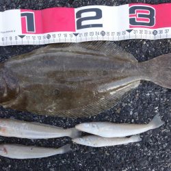 念願叶ったり！