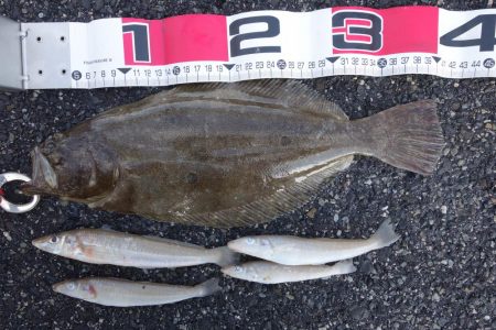 念願叶ったり！