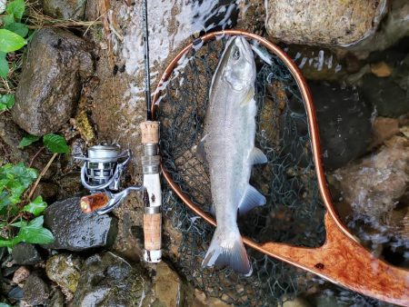 細身ですが尺ヤマメ‼️