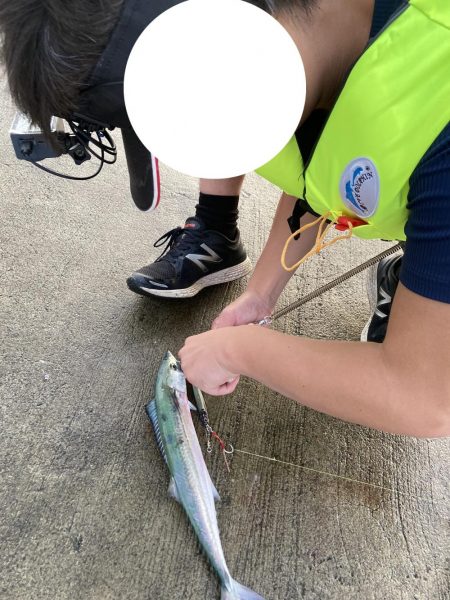 朝マズメ・サゴシ