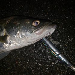夜練釣行