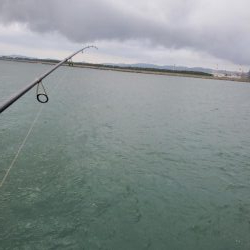 ボウズよりはマシか…。