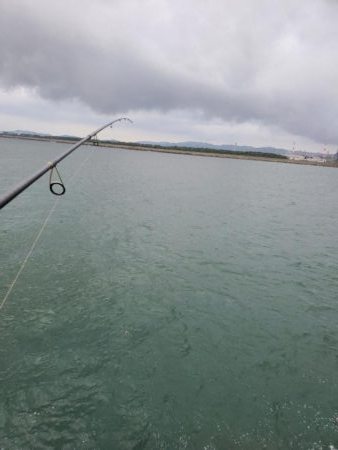 ボウズよりはマシか…。