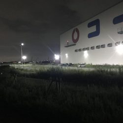 タチウオの反応なし