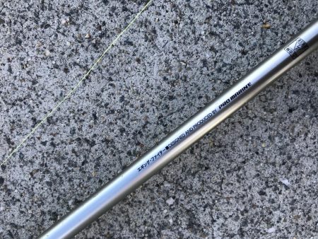 9月14日見えイカにつられて