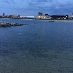 サクッとアオリ