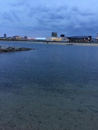 サクッとアオリ