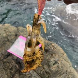 なんとかボウズ回避