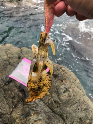 なんとかボウズ回避