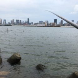 10年ぶりのハゼ釣り