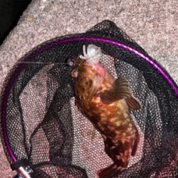 仕事帰りロック！