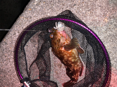 仕事帰りロック！