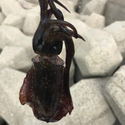 ちっちゃくなった