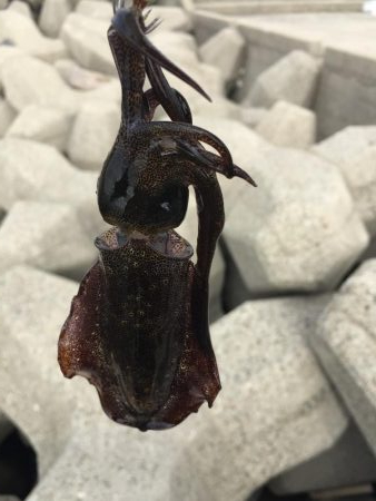 ちっちゃくなった