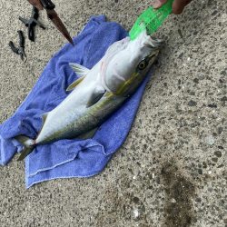 100均ジグの奇跡