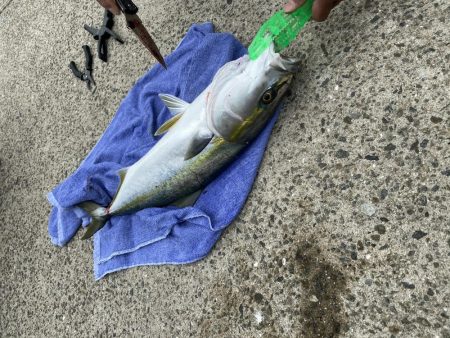 100均ジグの奇跡