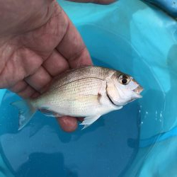 旅行帰りに1時間