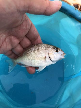 旅行帰りに1時間