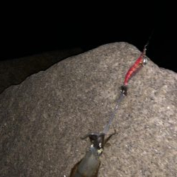 祝日は何処も激混み