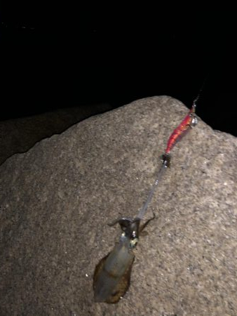 祝日は何処も激混み