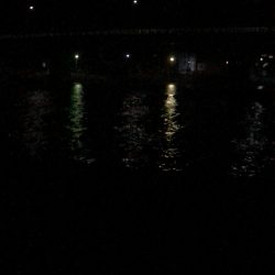 そこら中でボイルが