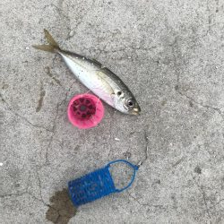 本日も本命無し!