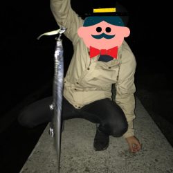 念願の太刀魚ちゃん！