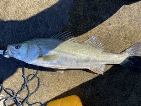 ファミリーフィッシングの合間に