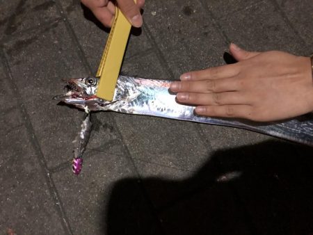 爆風の中タチウオ釣り　何とか釣果