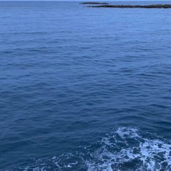 秋イカエギング