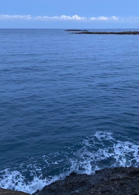 秋イカエギング