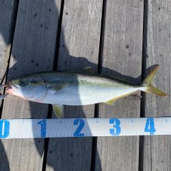 ショアジギング