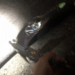 今シーズン初タチ！