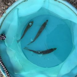 連休3日目!人、人、人