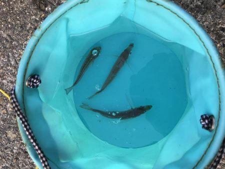 連休3日目!人、人、人