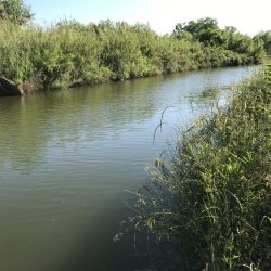 バスを求めて紀ノ川へ