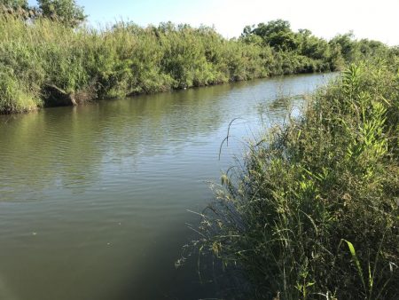バスを求めて紀ノ川へ