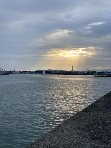 太刀魚楽しめました