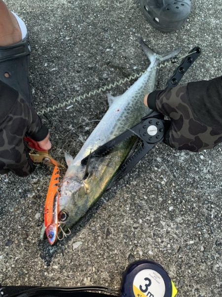 痛恨のバラシが二本