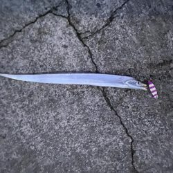 なんともいえない