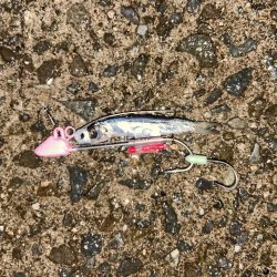 タチウオテンヤ