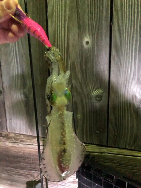 滝行フィッシング