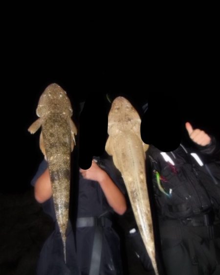 ウェーディングでマゴチcatch!