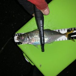 此処は大阪湾奥？