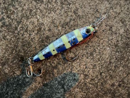 メタルジグでのタチウオ